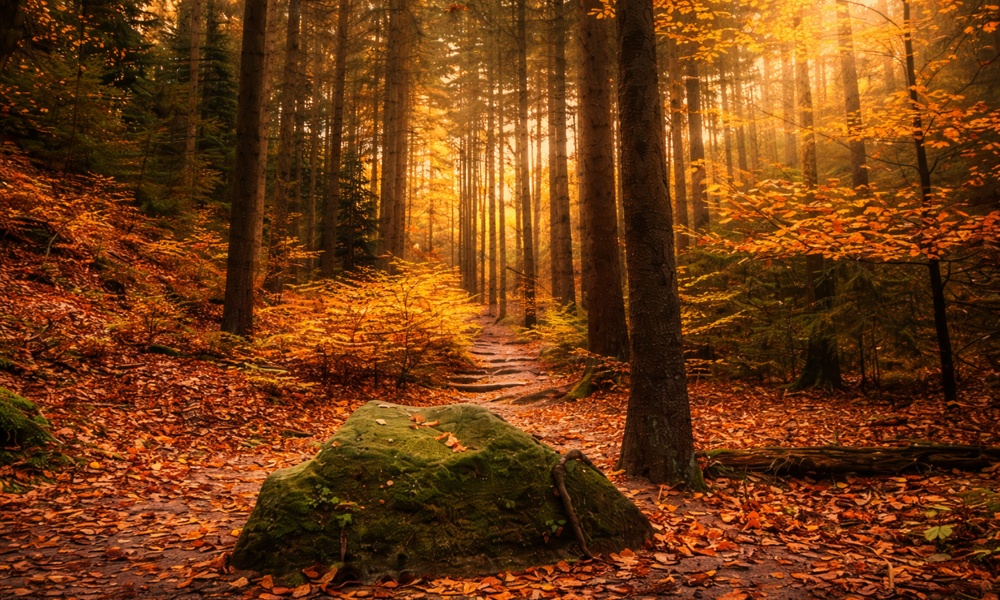 Grumsiner Brennerei Online Shop Vom Feld zum Fass